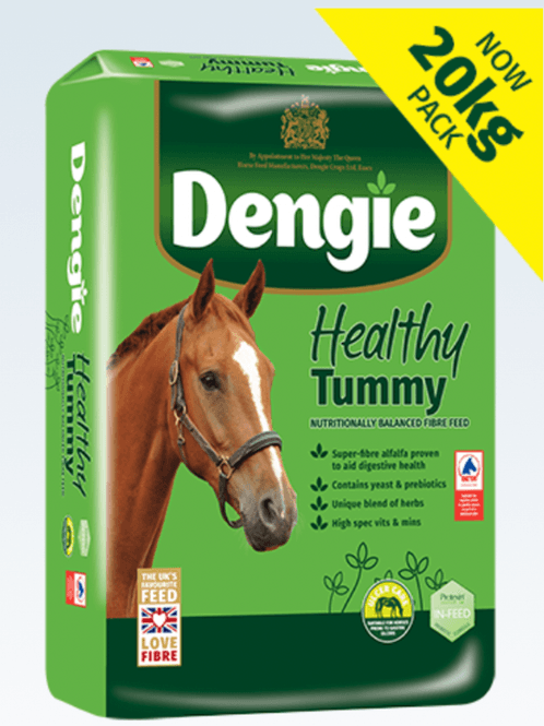 Hovedbilde Dengie Healthy Tummy 20 kg