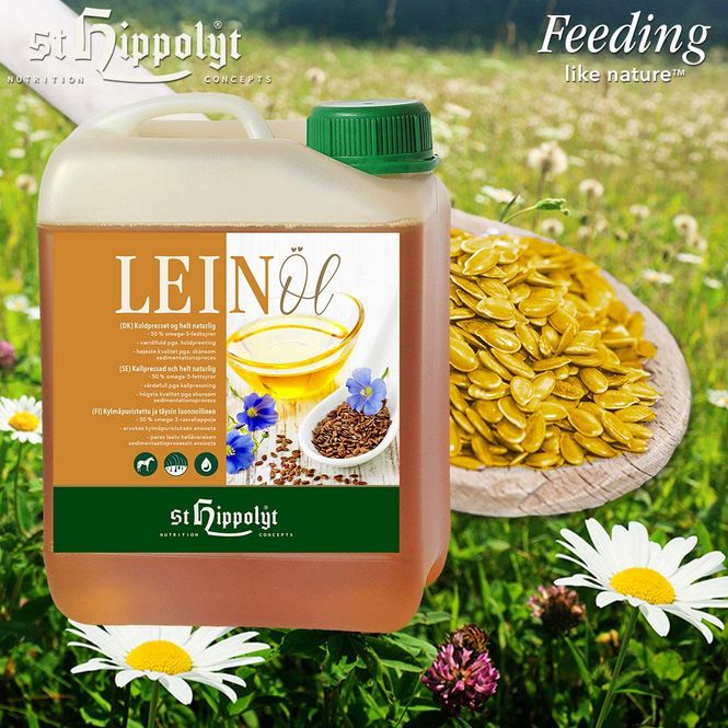 Hovedbilde Leinöl